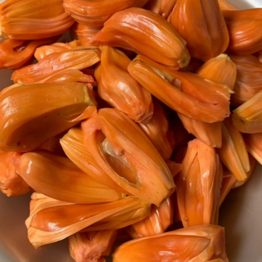 Chembarathi Varikka / Chandra Halasu Jack Fruit Live Plant