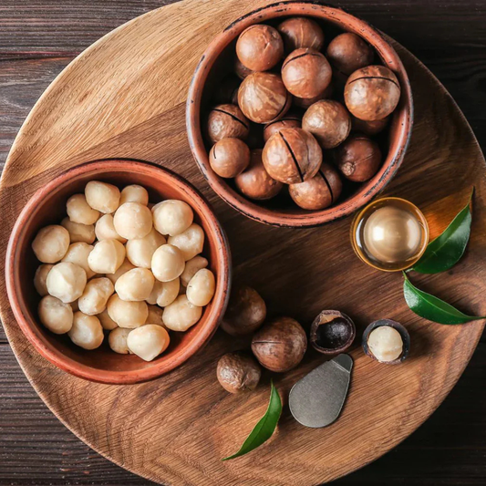 Macadamia Nut Fruit Live Plant