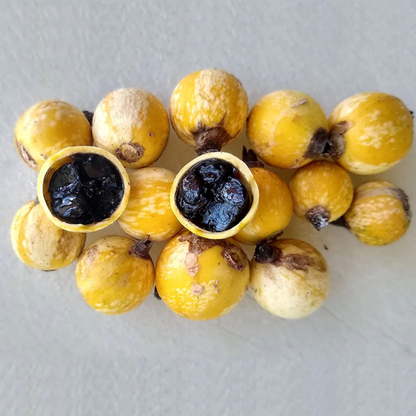 Blackberry Jam Fruit Live Plant