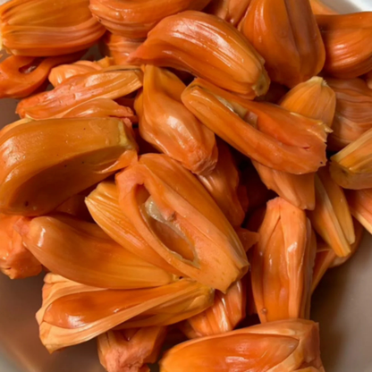 Chembarathi Varikka / Chandra Halasu Jack Fruit Live Plant