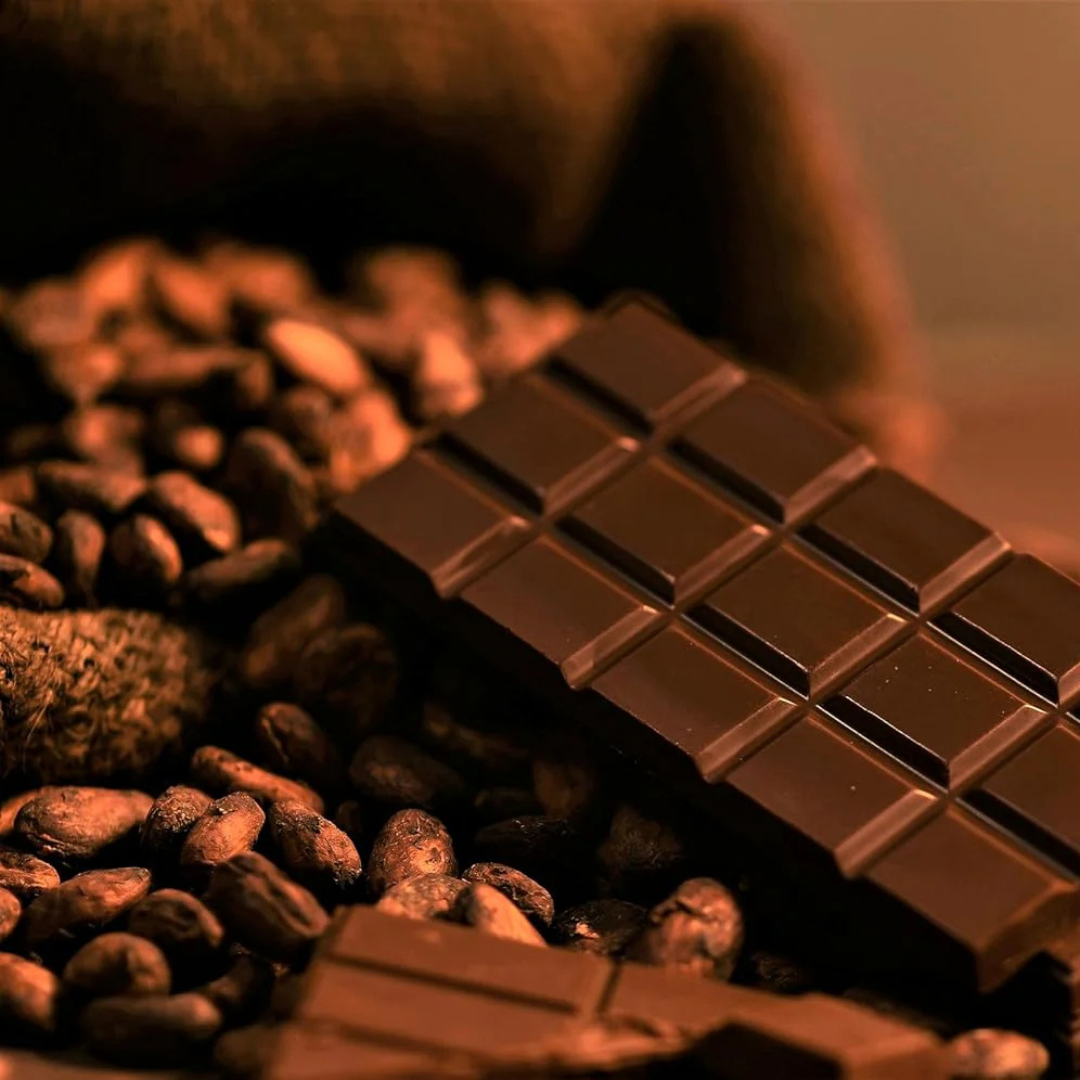 Cocoa (Chocolate Tree) Live Plant