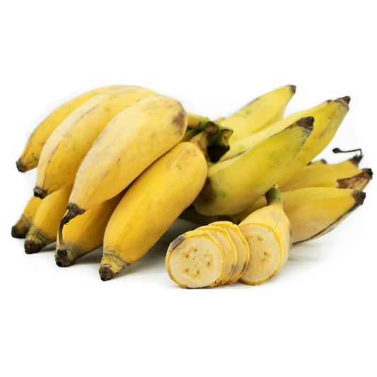 Dwarf Thailand Banana (Musa acuminata) Live Fruit Plant