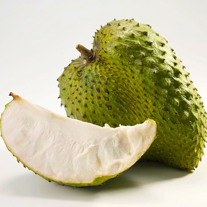 Giant Soursop (Less Seeds) Live Exotic Fruit Plant