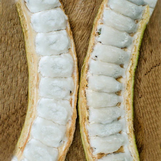 Ice Cream Bean (Inga Edulis) Fruit Live Plant