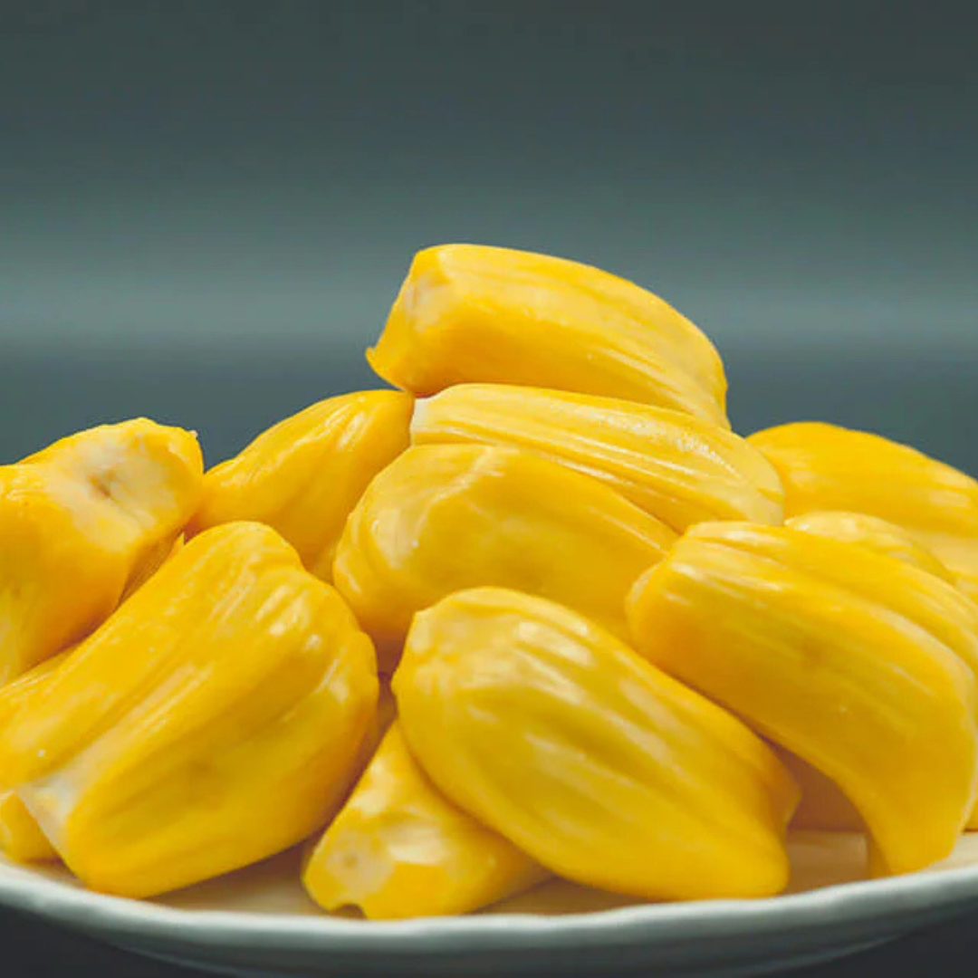 J33 Malaysian Jackfruit Live Plant