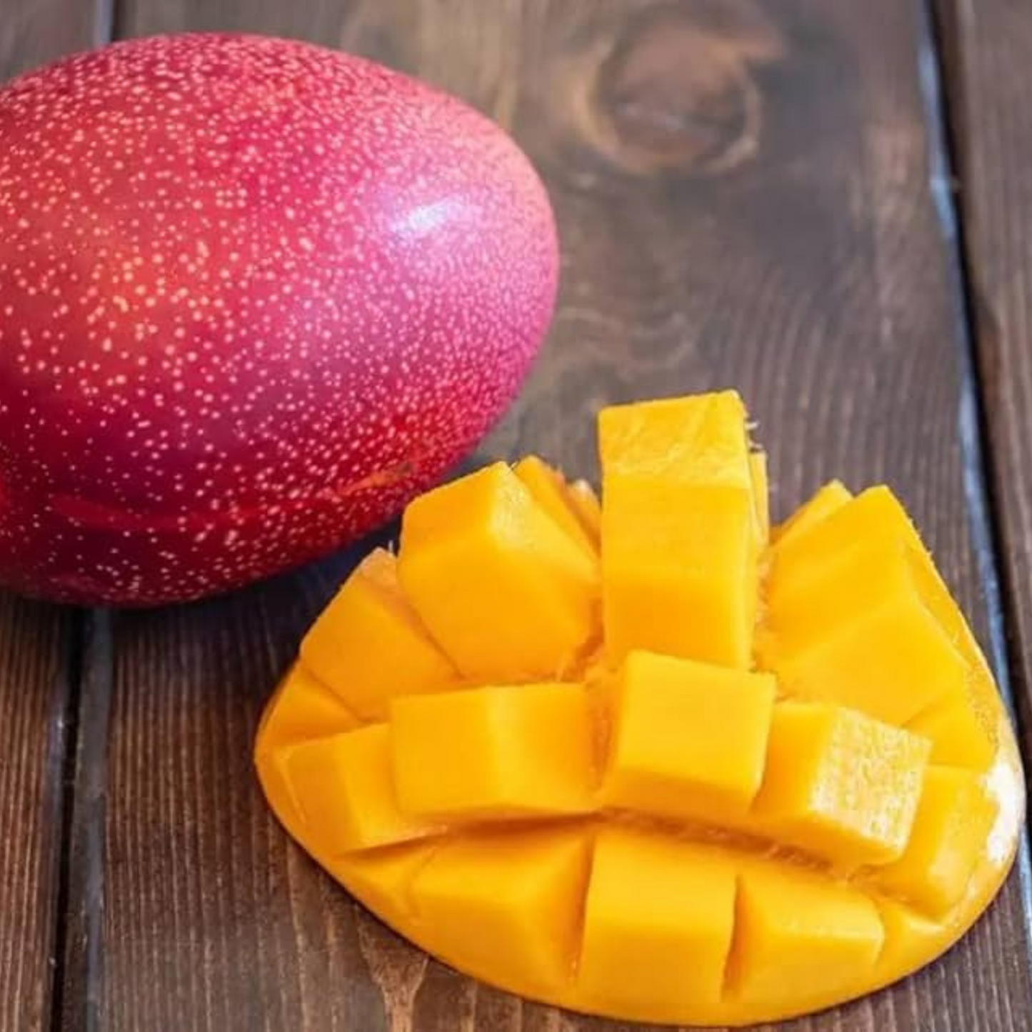 Japanese Miyazaki Mango Grafted Live Plant