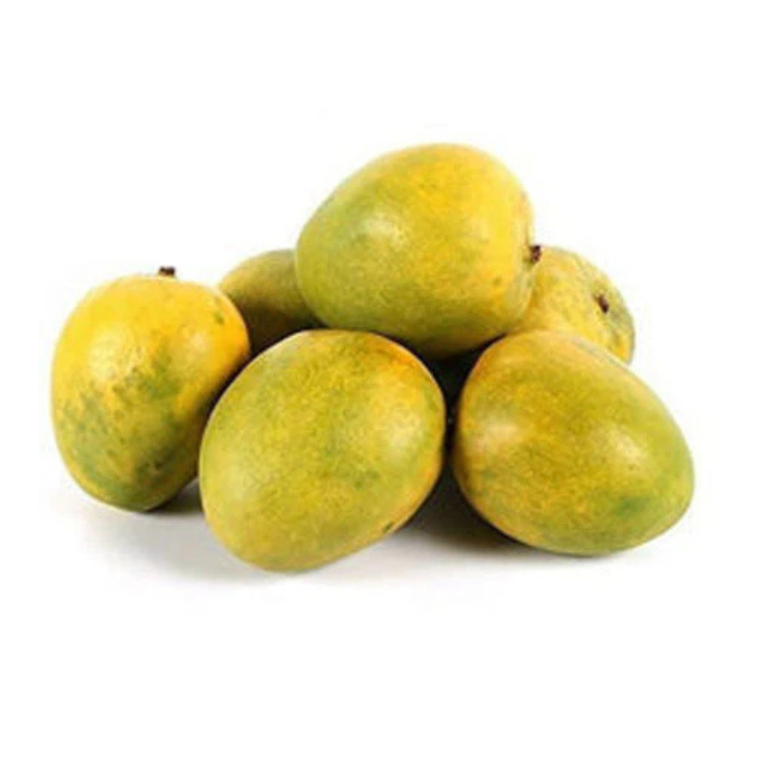 Kalapadi Mango Grafted Live Plant