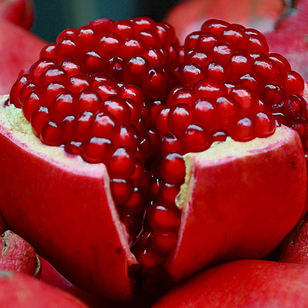 Pomegranate (Bhagwa) Layered Fruit Plant