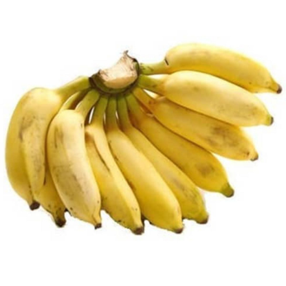 Rasakadali Banana Live Plant