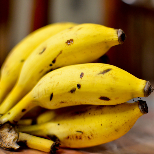 Rasakadali Banana Live Plant