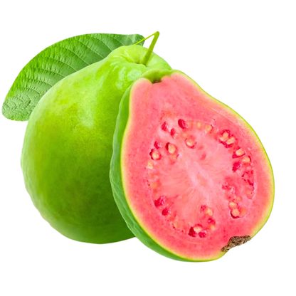 Red Flesh Guava (Psidium guajava) Fruit Live Plant
