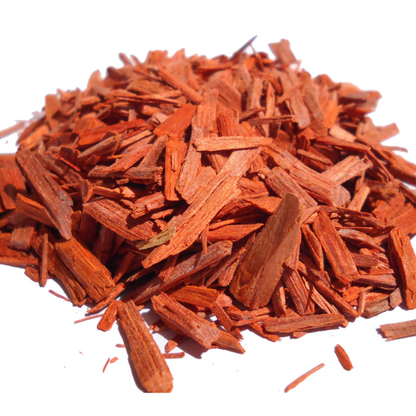 Red Sandalwood (Rakta Chandan) Live Plant