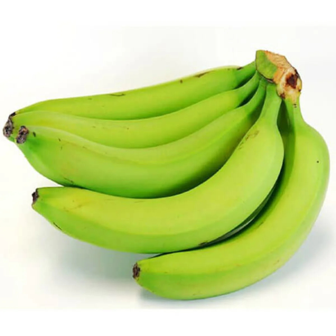 Robusta Banana (Morris) Live Plant