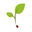 Seed2Plants logo