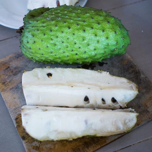 Soursop (Annona Muricata) Fruit Live Plant